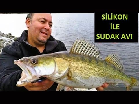 Sudak avı nasıl yapılır