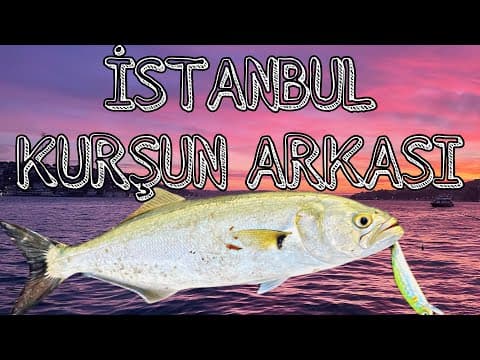 İSTANBUL’ da Lüfer Sarıkanat Çinekop Nasıl Yakalanır ? Kurşun Arkası Balık Avı nedir? Nasıl Yapılır?