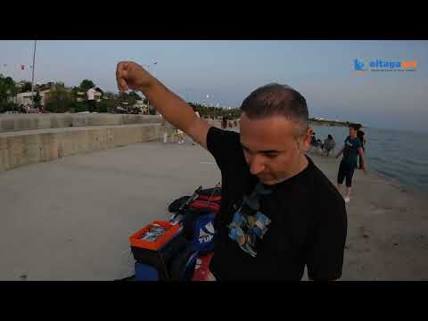 Surf Casting Nedir? Canlı Yem Hazırlanışı ve Çapari Tekniği