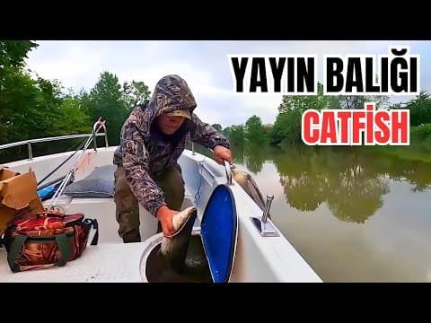 Yayın Avı - Yayın Nasıl Yakalanır? - Yayın Yemi Nedir? - Balık Avı