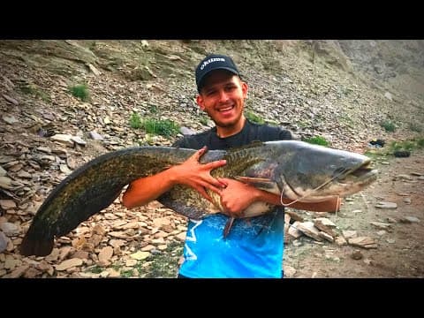 At Çek Yöntemi ile 20 kg Yayın Balığı Avı (Türkiye)